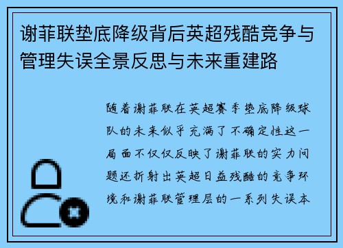 谢菲联垫底降级背后英超残酷竞争与管理失误全景反思与未来重建路 谢菲联垫底降级背后英超残酷竞争与管理失误全景反思与未来重建路